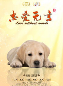 影片以金融圈为背景，通过普通人的理财困境，揭露资本如何通过制造虚假信息操控股价，让普通股民成为信息茧房里的“待宰羔羊”。